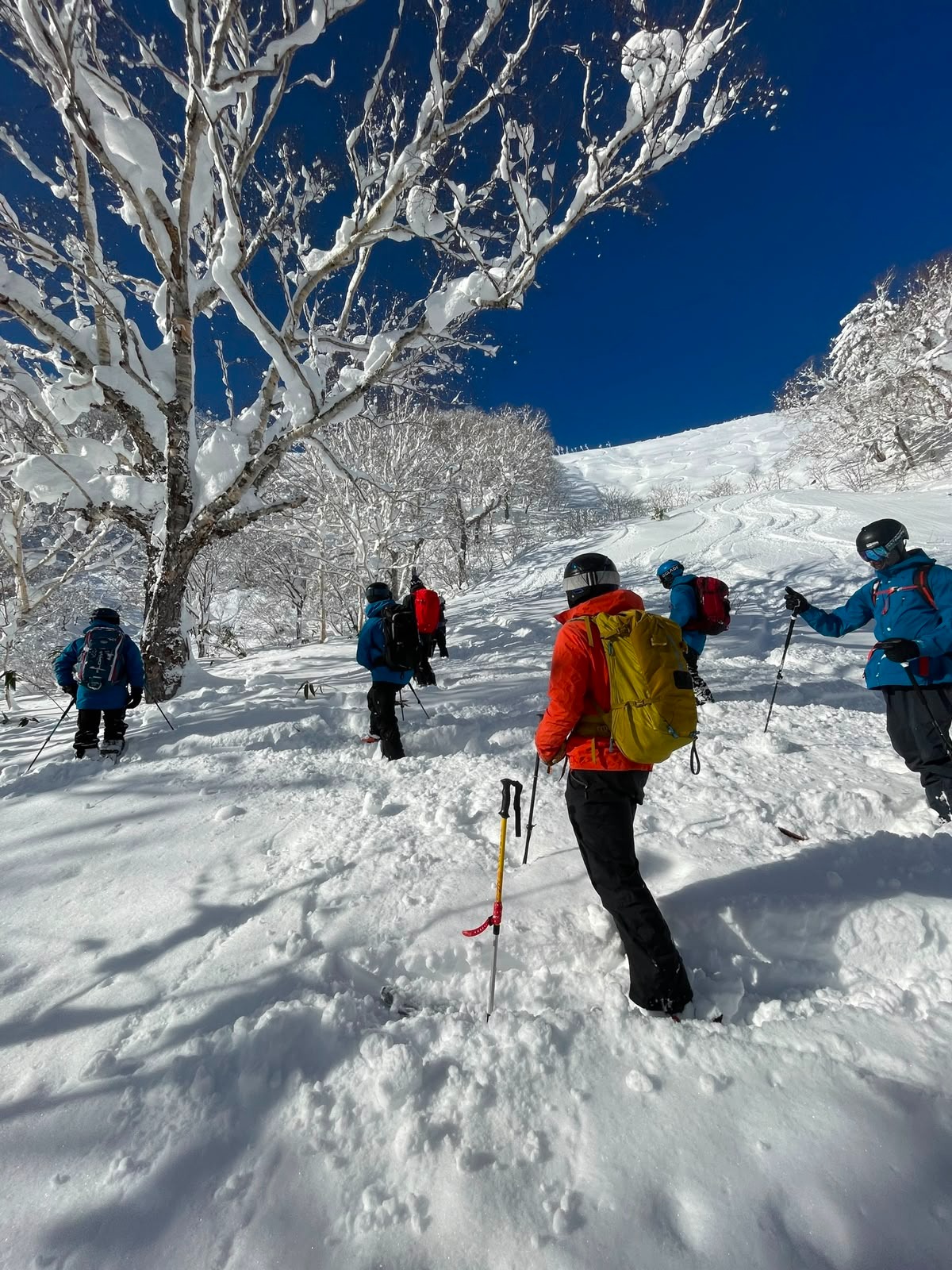 Snowboarder and skier riding down an Asahidake slope